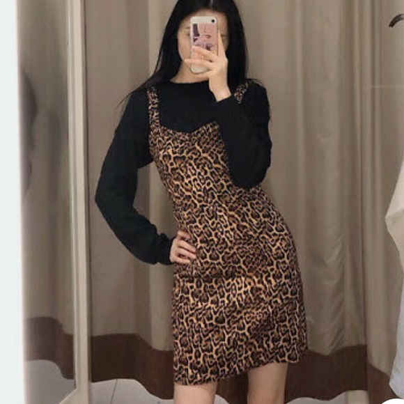 𝗡𝗪𝗧 𝗭𝗮𝗿𝗮 • Animal Print Dress - Picture 2 of 16
